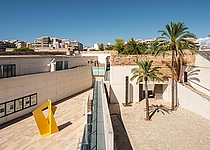 EsBaluard_HomepageEsBaluard