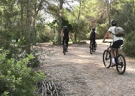 Calvia_Fahrrad_Wald_Baeume_Ajuntament_Facebook