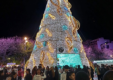 Weihnachten_Weihnachtsbaum_Palma