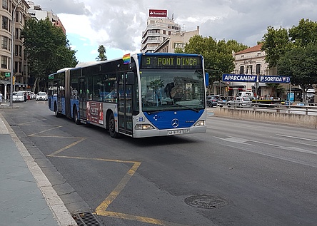 EMT_Bus_Palma_Avenida